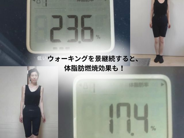 ~^ɂĂȌʂ܂IN̏tɂ͑̎b23.6łA317.4ɂȂ܂I_関{