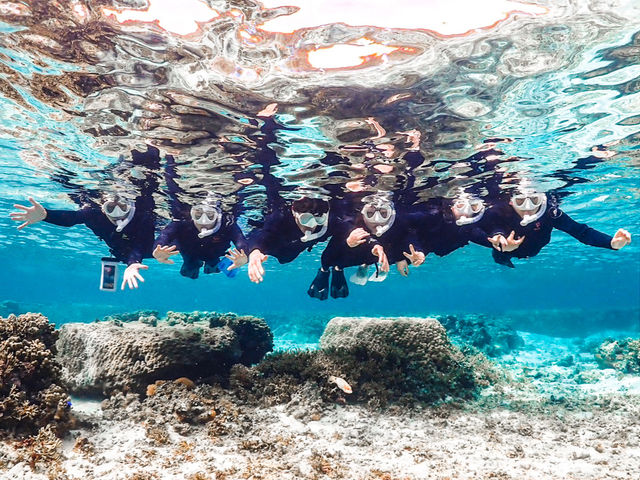 ecA[c̗l劽}_noa {Ó