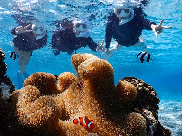 FƂǂ̔Mыɂ`_noa {Ó