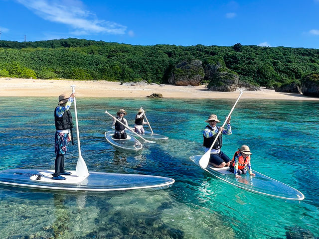 ƑɑlC̃NATbvI{[hjȂĂC̒̐Ey߂܂_noa {Ó