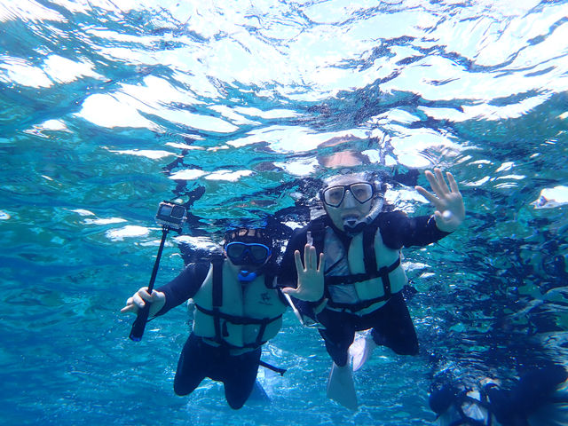 �x�R�V���m�[�P�����O�̌�