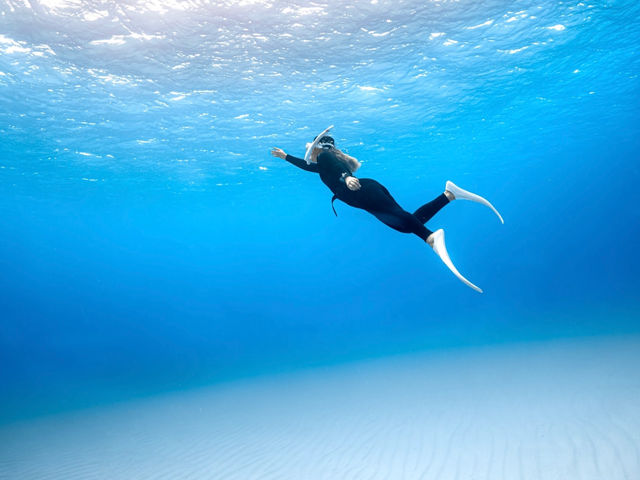 �x�R�V���m�[�P�����O�̌�