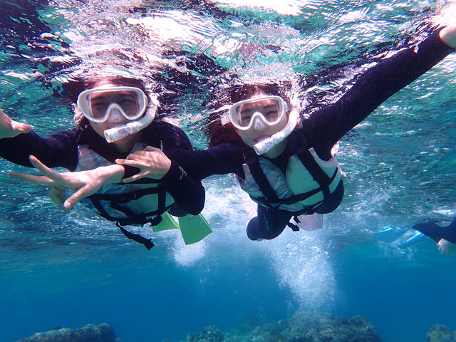 �x�R�V���m�[�P�����O�̌�