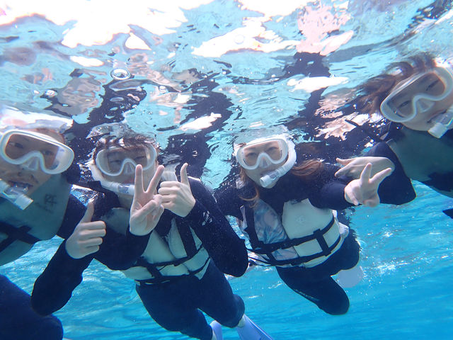 �x�R�V���m�[�P�����O�̌�