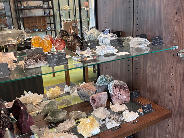 �X�ܓ��ʐ^_�����E�V�R�� ��������.��