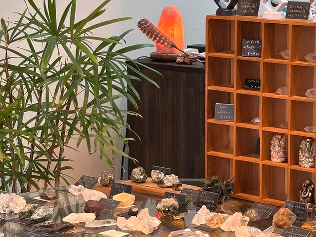 �X�ܓ��ʐ^_�����E�V�R�� ��������.��