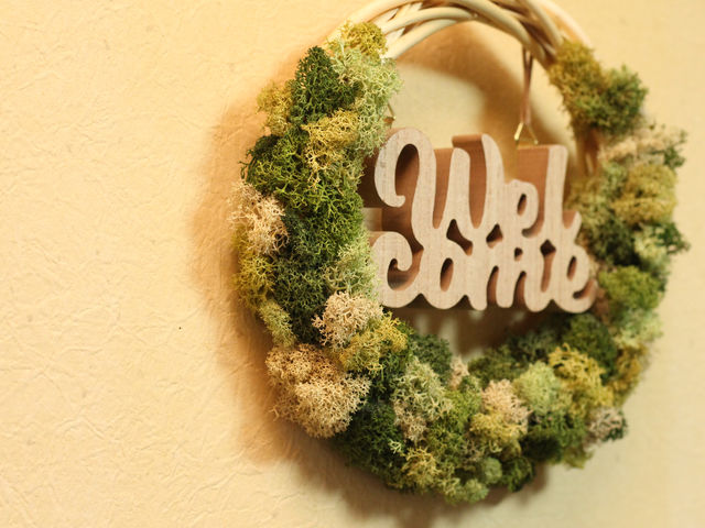 �����f�B�X�v���C�A�C�e���Ƃ��ĐV�������X�͒n���ɂ��D�����Ǘ��s�v�̃X�g���X�t���[_chiikos