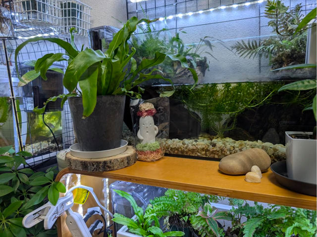 �n�j�����[�N�V���b�v�͏������ł����A������̃A�N�A���E���ɏ����Ă����������ۂ̎ʐ^�����q�l�������Ă��������܂���^^�����ł��I_chiikos