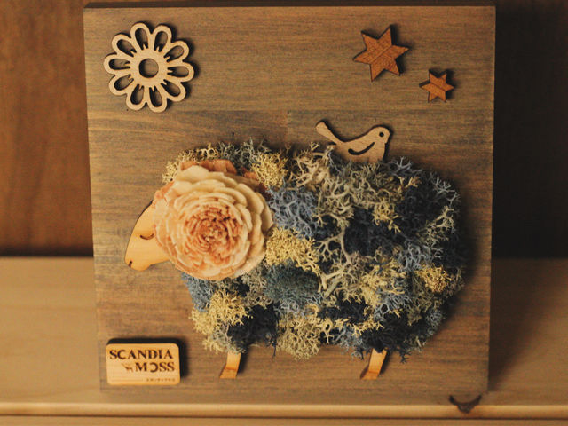 �X�J���f�B�A���X�͌��̉����ŐF�X�ȕ\����݂��Ă���܂��B_chiikos