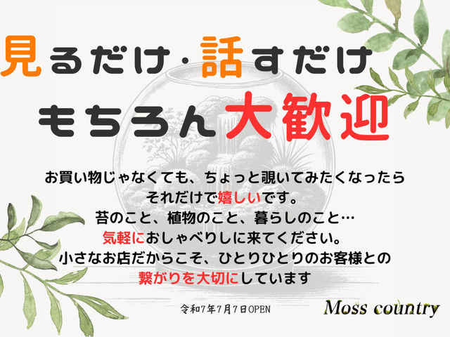 �������e�����E���ɂ��Ęb�ɗ��邾���ł�OK_Moss Country