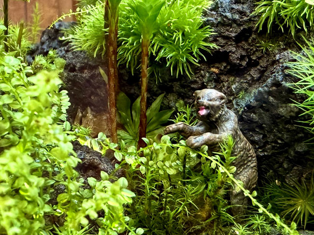 �t�B�M���A����������܂��I_Moss Country