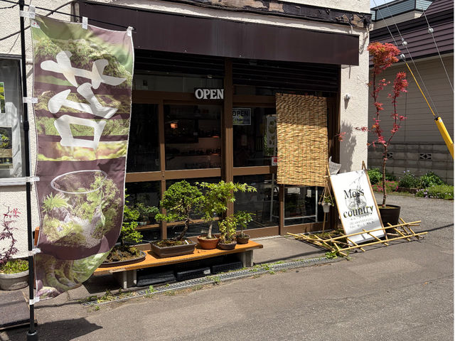 �X�܊O��_Moss Country