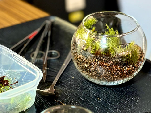 ���[�N�V���b�v�쐬���i_Moss Country
