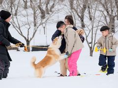 AKITA Geo Tour̎ʐ^1