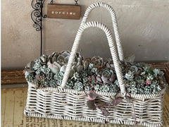 L'atelier de la sorcier�̎ʐ^1