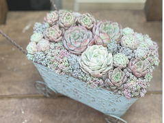 L'atelier de la sorcier�̎ʐ^1