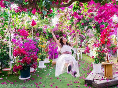Êόԉ u[Q̐X̎ʐ^1