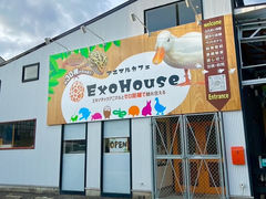 Aj}JtF ExoHouse̎ʐ^1