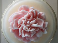 HODORO CANDLE̎ʐ^1