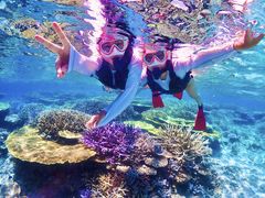 �O���[�r�[�u���[�̎ʐ^1