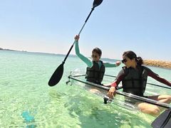 OneUP Paddle̎ʐ^1