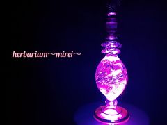 herbarium`mirei`̎ʐ^1