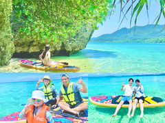 NATURE SHOP PAO̎ʐ^1