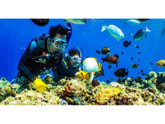 LAEBOMBA{̎ʐ^1