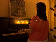 Japan Sakura Journey̎ʐ^1