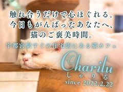 LJtF Charilu--̎ʐ^1