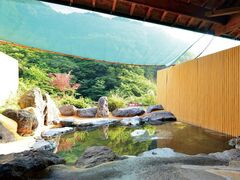 �ˌ�����@�Ό��T��̎ʐ^1