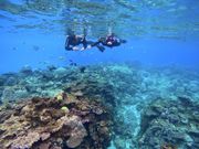 marine shop PETREL̎ʐ^3