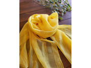 ̂̂͂ȑؐAJf~[啪x̎ʐ^3