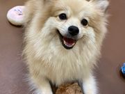 ʃJtFRio p[NvCX啪X̎ʐ^2