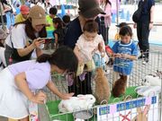 �Z���T���_�Ƌ����g���̎ʐ^2