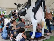 �Z���T���_�Ƌ����g���̎ʐ^3