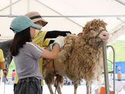 �Z���T���_�Ƌ����g���̎ʐ^4