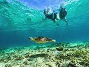 GY}-mfz marine̎ʐ^4