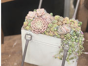 L'atelier de la sorcier�̎ʐ^2