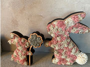 L'atelier de la sorcier�̎ʐ^3