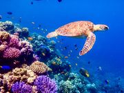 �Ί_����������V�[�T�[�̎ʐ^2