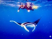 �Ί_����������V�[�T�[�̎ʐ^4