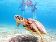 �{�Ó��J���b�N ���[�t�A�C�����h�̎ʐ^3