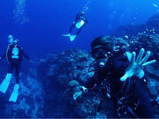 LA�EBOMBA�{��̎ʐ^4