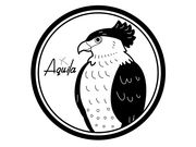 Aquila̎ʐ^4