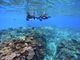 marine shop PETREL̎ʐ^3