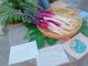 ILA Community Farm̎ʐ^3
