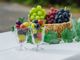 oboco grapes̎ʐ^4