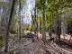 CampsiteYuNa̎ʐ^3