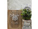 Jardin de Vent̎ʐ^2